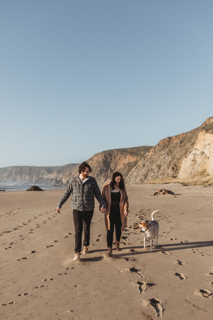 couple holding hands at beach with dog