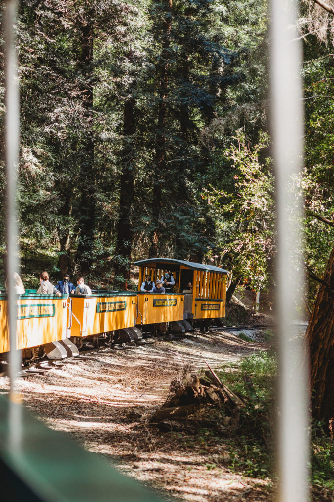 wedding train in the forest