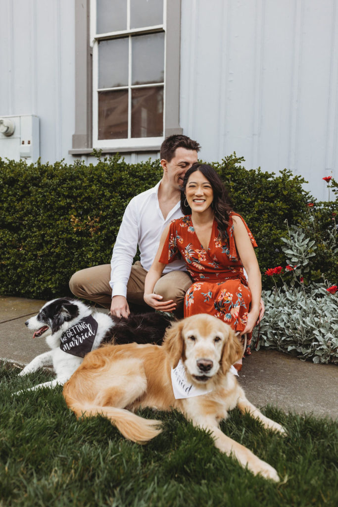couples engagement session with dogs
