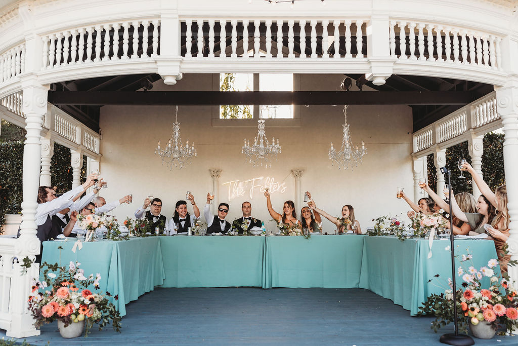 Wedding bridal party toasting during reception 